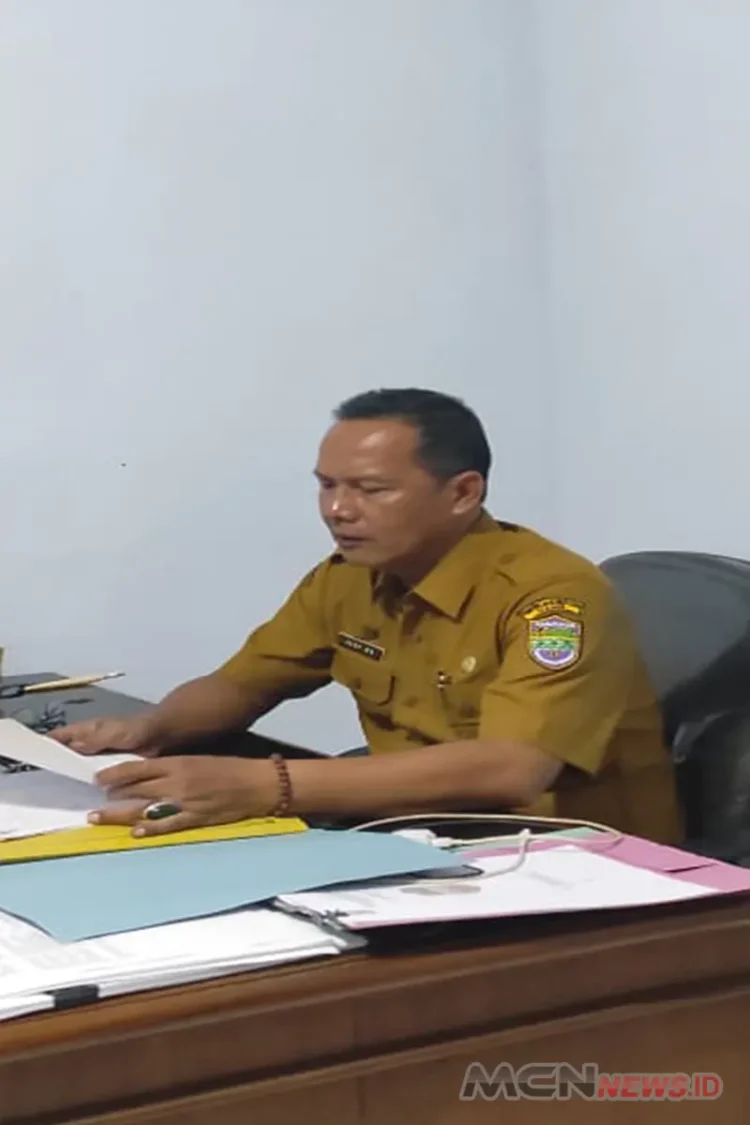 Kelangkaan Minyakita