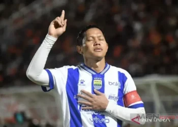Persib